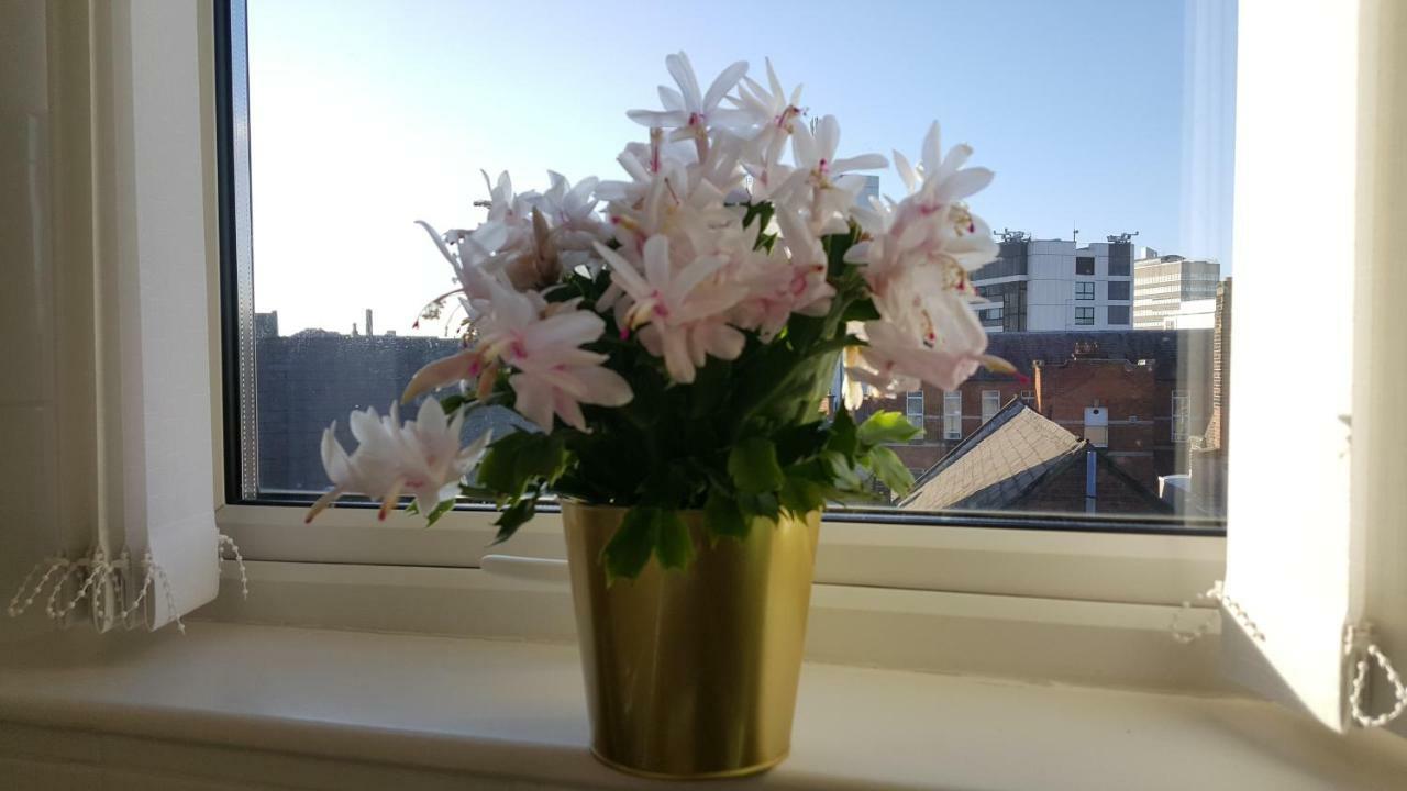 Queens Quarter Holiday Homes (Adults Only) Belfast Kültér fotó